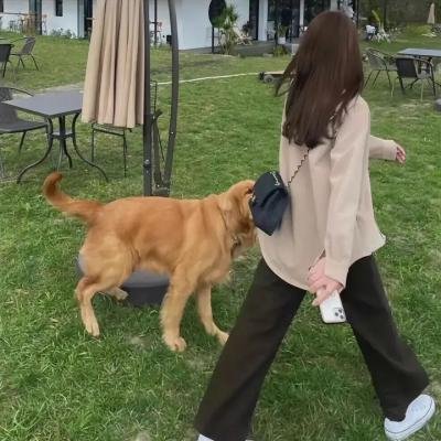 暗中作吓